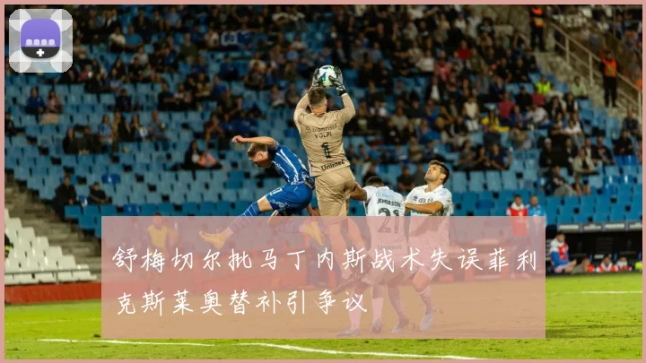 舒梅切尔批马丁内斯战术失误菲利克斯莱奥替补引争议