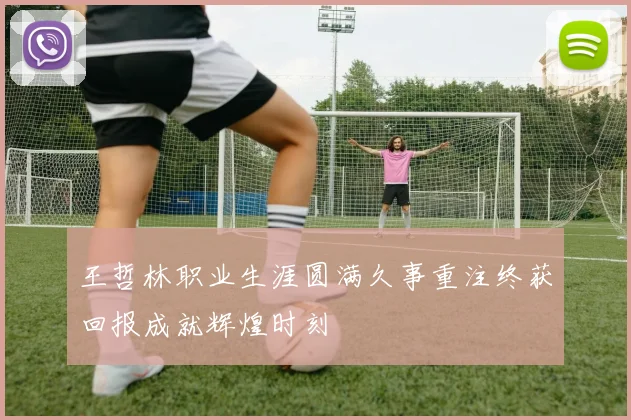 王哲林职业生涯圆满久事重注终获回报成就辉煌时刻