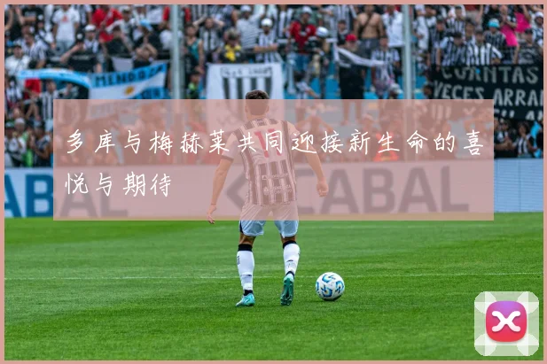 多库与梅赫莱共同迎接新生命的喜悦与期待