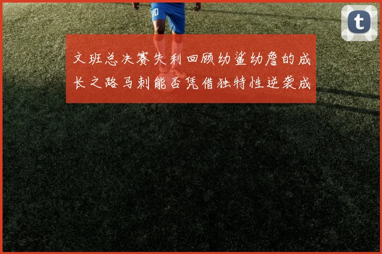 文班总决赛失利回顾幼鲨幼詹的成长之路马刺能否凭借独特性逆袭成功
