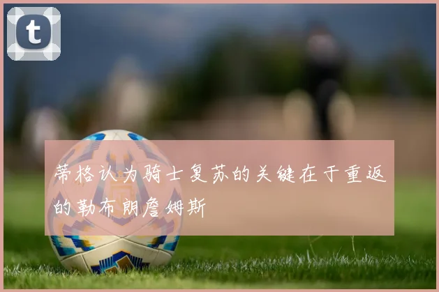 蒂格认为骑士复苏的关键在于重返的勒布朗詹姆斯