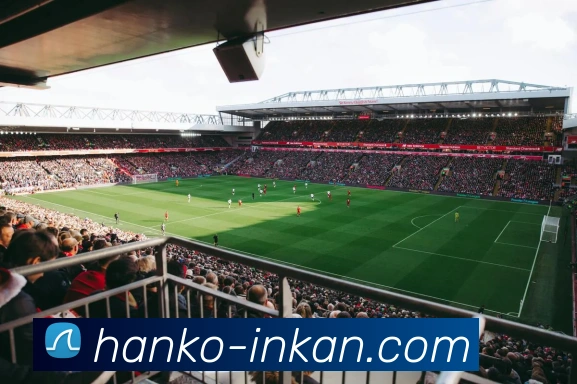 App 展示图